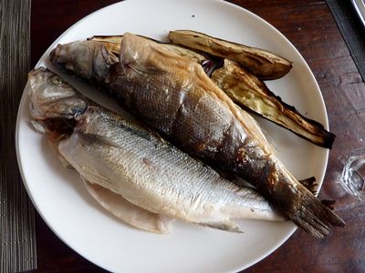 דגים