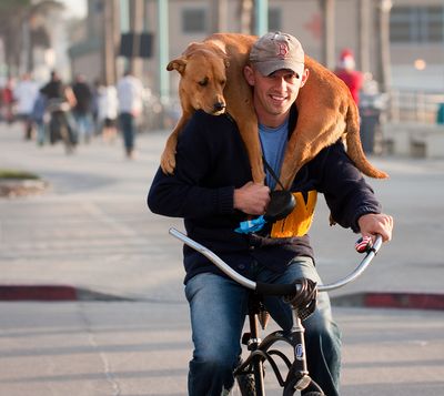 תמונות מצחיקות